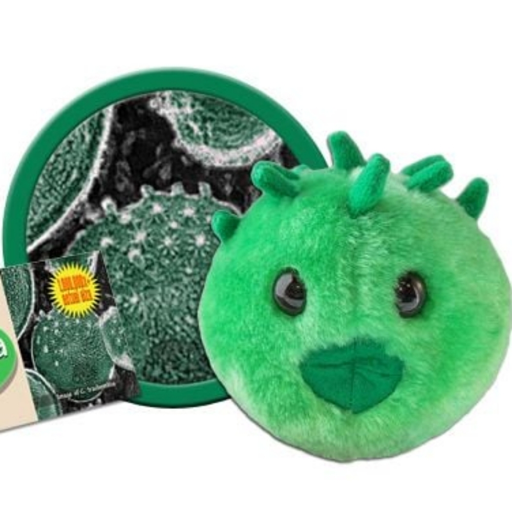 **Free Add On** Mini microbe stuffed "animal"